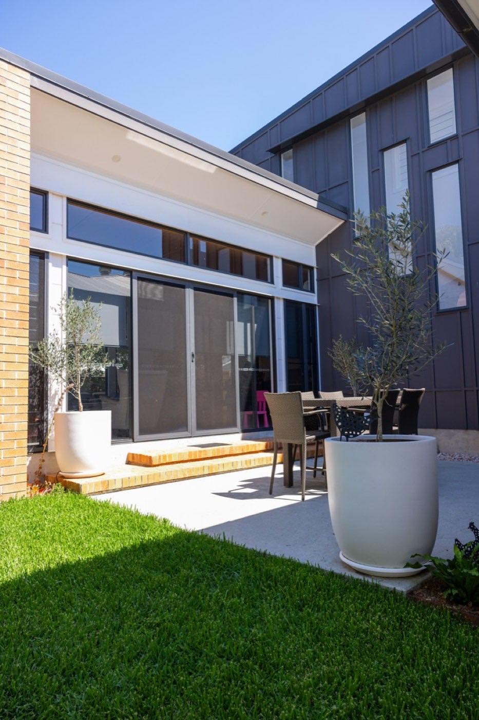 Concrete courtyard with potted olive tree and outdoor setting