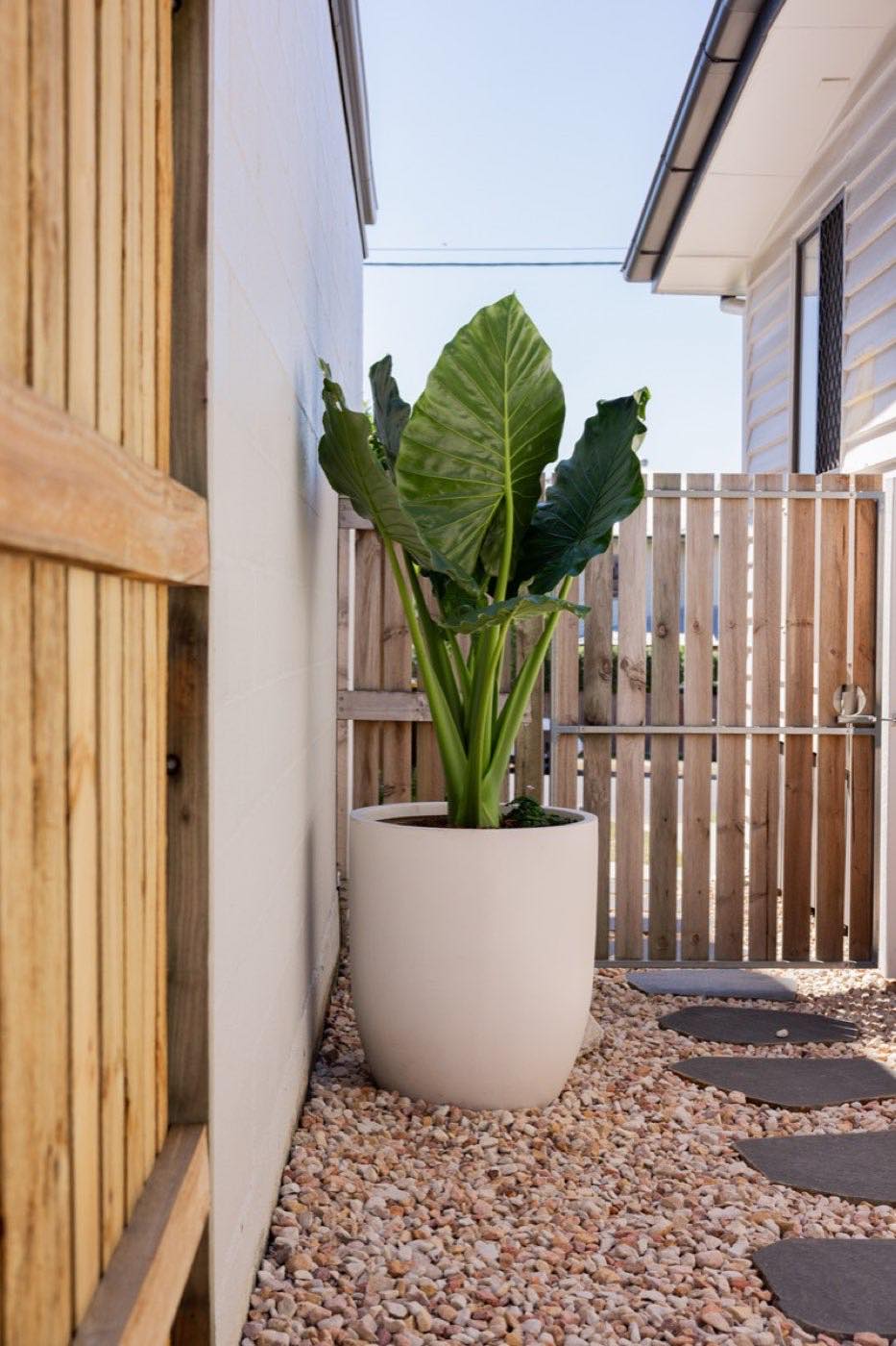 Side path with stepping stones, timber gate and potted plant